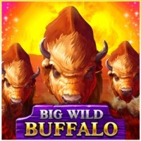 game logo by Belatra Games on betbuffoon.eu.com